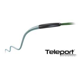 Teleport Microcatheter