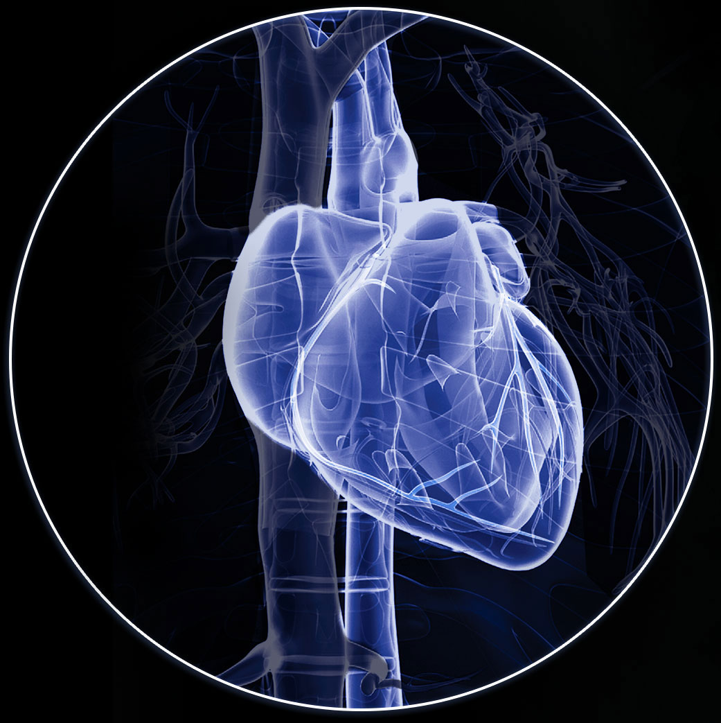 Coronary heart image