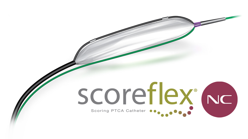 Scoreflex N C Hero Logo