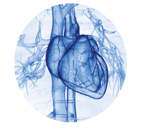 tranparent heart illustration in the color blue